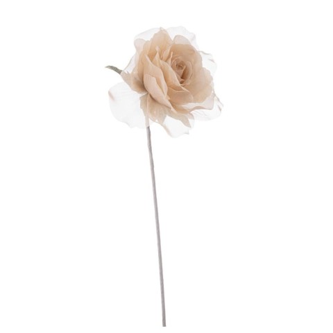 ROSA ALEISHA BEIGE H.12